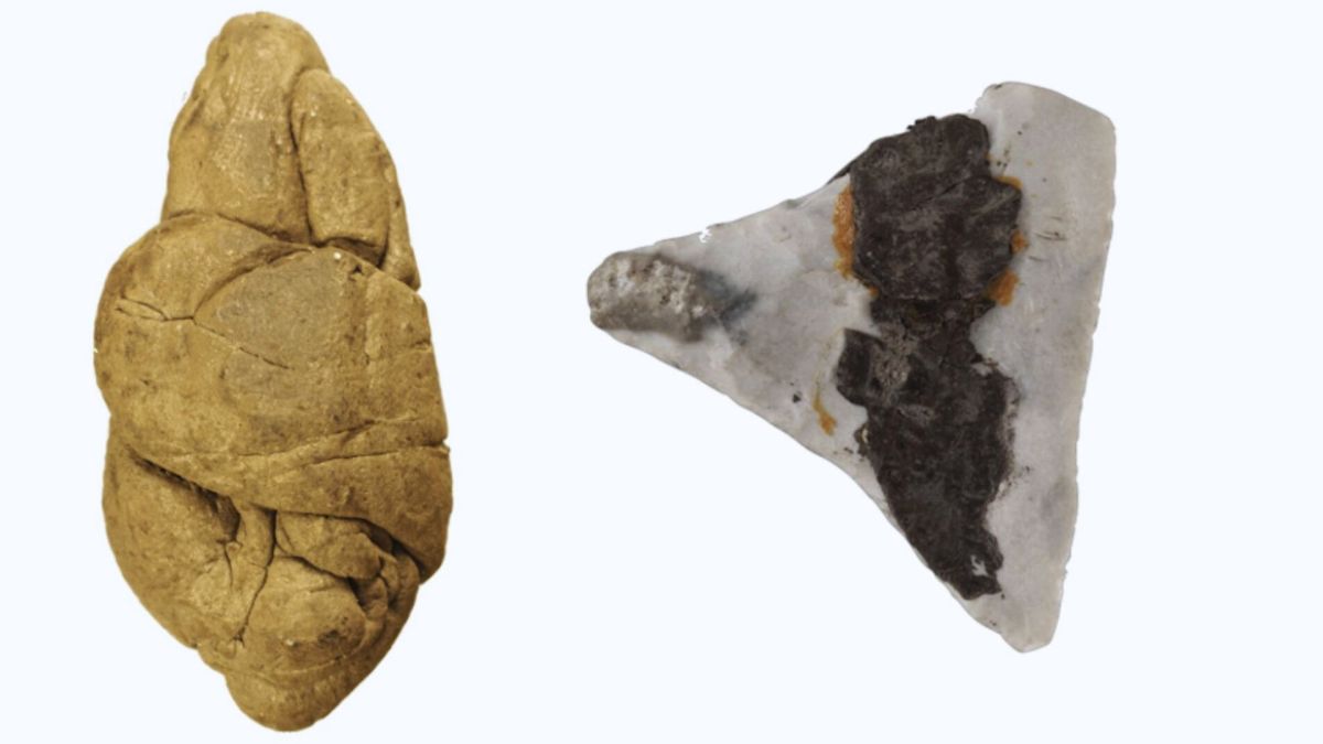 Les différents types d'artefacts analysés dans cette étude comprennent les morceaux de goudron de bouleau « mâchés, le goudron utilisé pour l'abattage. // Source : Ancient DNA and biomarkers from artefacts: insights into technology and cultural practices in Neolithic Europe - modifiée par Numerama Les différents types d'artefacts analysés dans cette étude comprennent les morceaux de goudron de bouleau « mâchés, le goudron utilisé pour l'abattage. // Source : Ancient DNA and biomarkers from artefacts: insights into technology and cultural practices in Neolithic Europe - modifiée par Numerama
