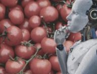 Pourquoi les robots ne savent toujours pas attraper des tomates. // Source : Montage Numerama avec Canva