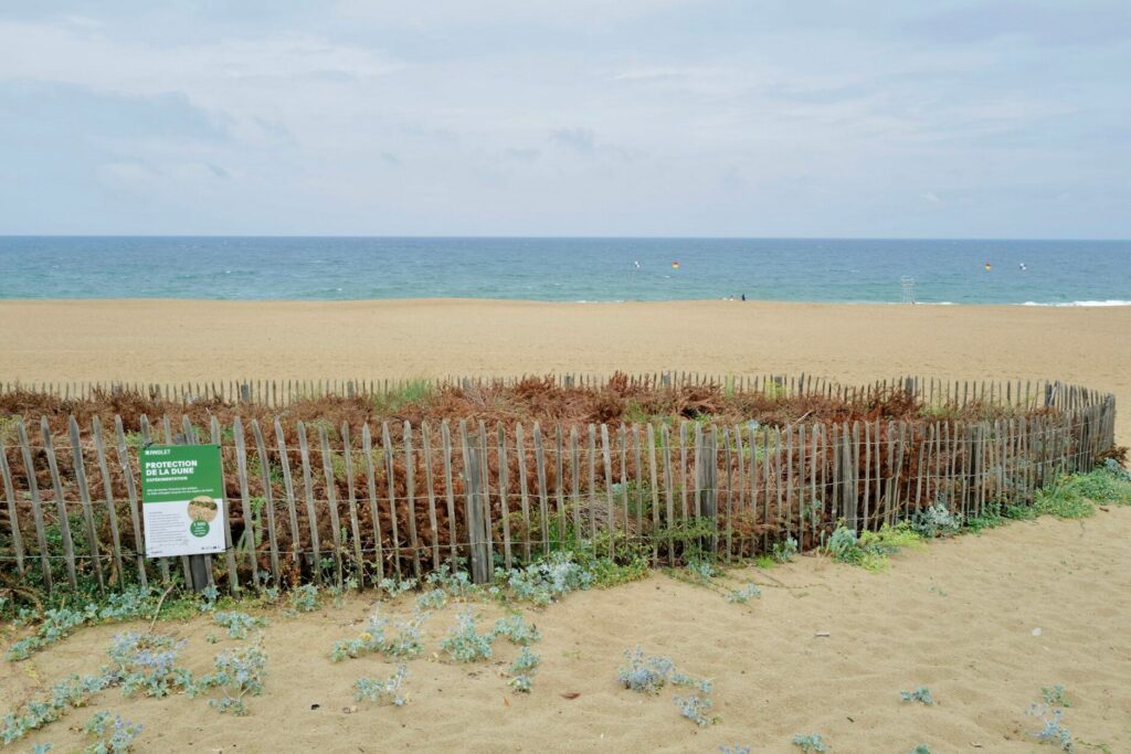 sapins plage