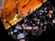 Dentine fossilisée d'éléphant (échelle : 1,5 mm de diamètre), avec la roche visible en bas à droite et la dentine en haut à gauche. La dentine blanche est du collagène intact // Source : Timothy Bromage et Bin Hu, NYU Dentistry
