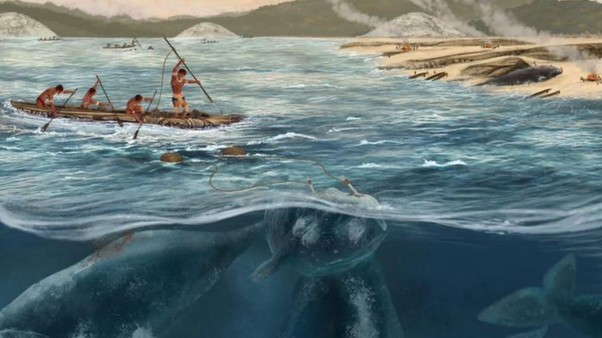 illustration de la chasse à la baleine // Source : Patricia del Amo Martín. ICTA-UAB illustration de la chasse à la baleine // Source : Patricia del Amo Martín. ICTA-UAB