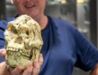 Fossile de Little Foot  // Source : La Trobe University 