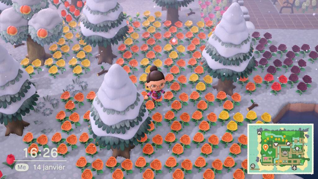 Ça fait beaucoup de fleurs oranges...non ? // Source : Capture d'écran Numerama Ça fait beaucoup de fleurs oranges...non ? // Source : Capture d'écran Numerama