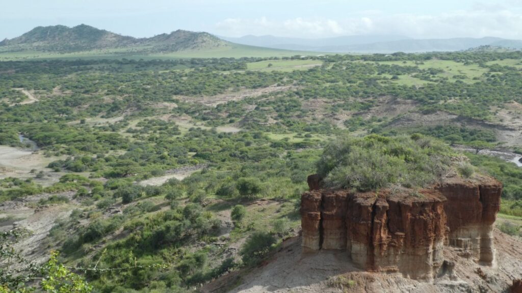 Gorges d'Olduvai, un site archéologique important du nord de la Tanzanie. // Source : Friedemann Schrenk, Université Goethe et Institut de recherche et Musée d'histoire naturelle Senckenberg