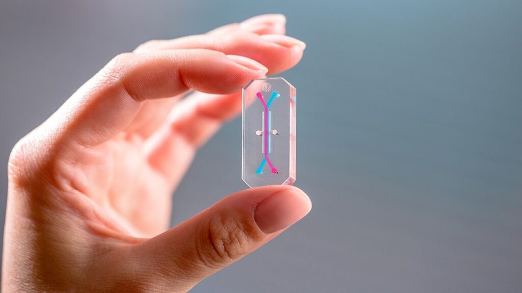 EMULATE_Emulate_Organ-Chip_blue_2 EMULATE_Emulate_Organ-Chip_blue_2