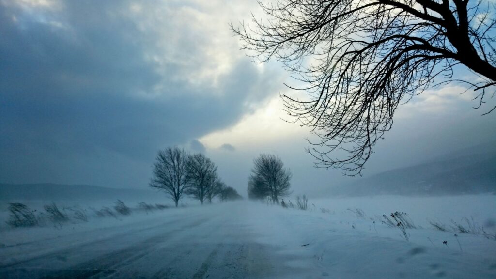 Tempête de neige. // Source : Canva Tempête de neige. // Source : Canva