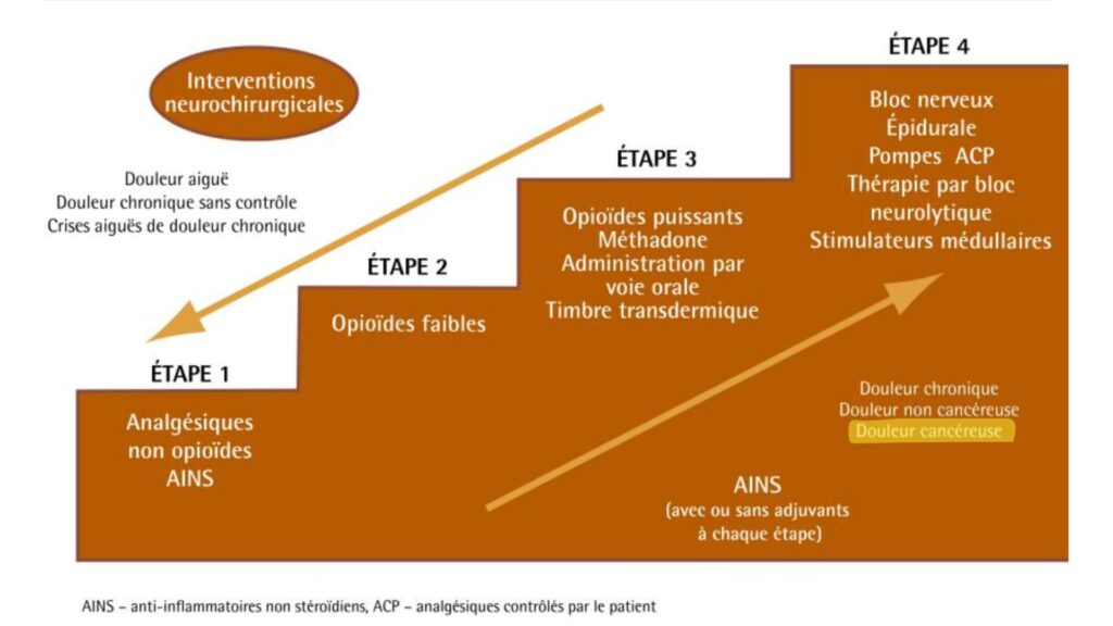 Adaptation de l'échelle de la douleur de 1986 pouvant être utilisée pour des douleurs non-cancéreuses et cancéreuses // Source : L’échelle analgésique de l’OMS convient-elle toujours? Vingt-quatre années d’expérience, Can Fam Physician, 2010 Adaptation de l'échelle de la douleur de 1986 pouvant être utilisée pour des douleurs non-cancéreuses et cancéreuses // Source : L’échelle analgésique de l’OMS convient-elle toujours? Vingt-quatre années d’expérience, Can Fam Physician, 2010
