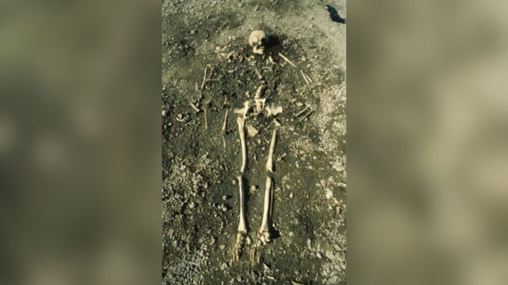 Les deux enfants qui étaient frères et sœurs à part entière et la femme qui était leur tante ou leur demi-sœur. // Source : Göran Burenhult