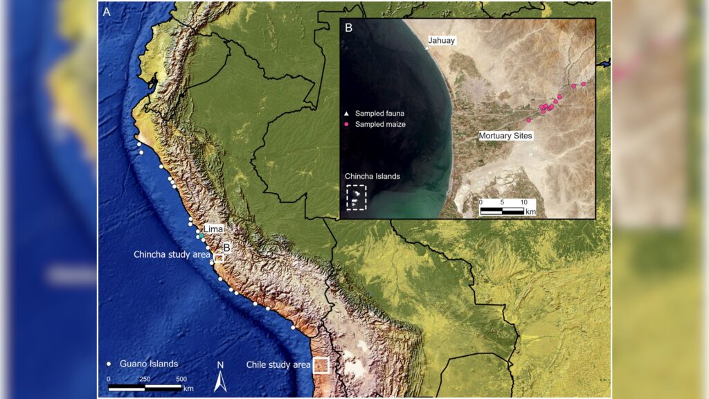 Carte des îles péruviennes de guano et les zones d'études chinchas et Chile // Source : Plos One Carte des îles péruviennes de guano et les zones d'études chinchas et Chile // Source : Plos One