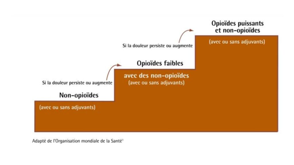 L’échelle analgésique de l’Organisation mondiale de la Santé en 1986 pour traiter la douleur cancéreuse // Source : L’échelle analgésique de l’OMS convient-elle toujours? Vingt-quatre années d’expérience, Can Fam Physician, 2010 L’échelle analgésique de l’Organisation mondiale de la Santé en 1986 pour traiter la douleur cancéreuse // Source : L’échelle analgésique de l’OMS convient-elle toujours? Vingt-quatre années d’expérience, Can Fam Physician, 2010