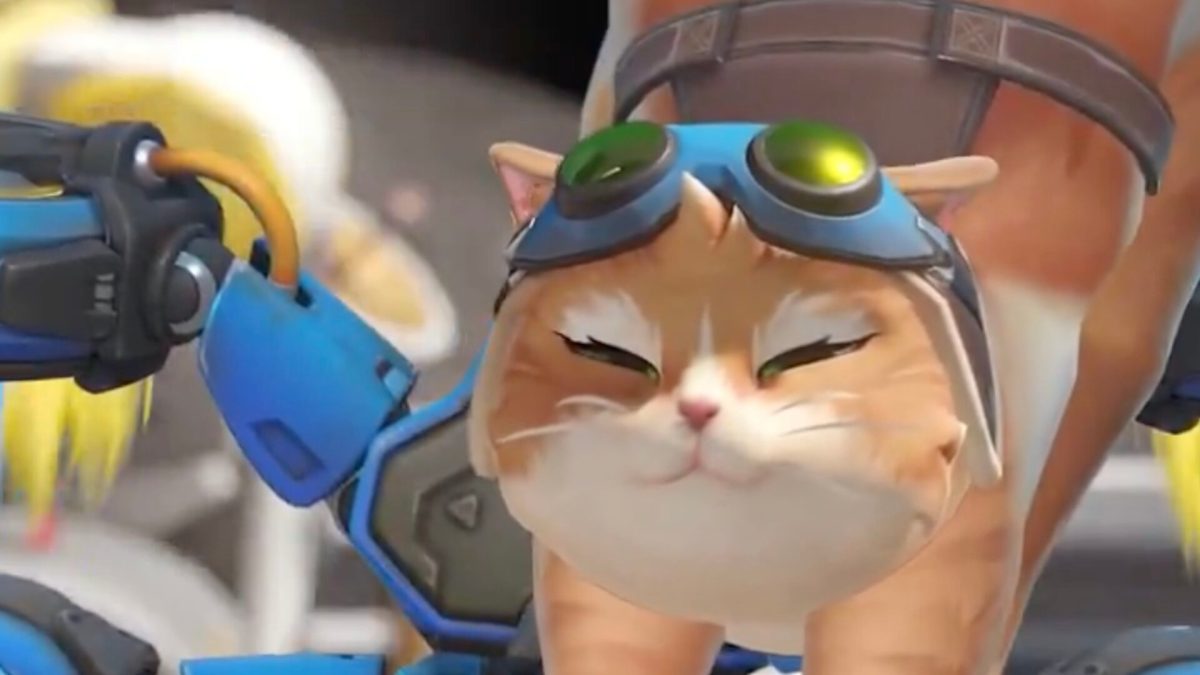 Jetpack Cat dans Overwatch // Source : Blizzard Entertainment Jetpack Cat dans Overwatch // Source : Blizzard Entertainment