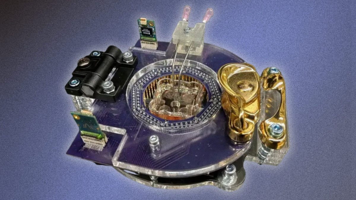 Une équipe de l'AI Grand Prix a utilisé un cerveau de souris.  // Source : Palmer Luckey / Numerama