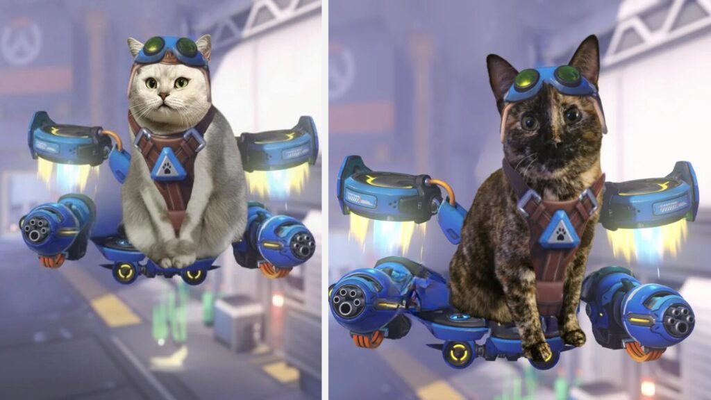 Différentes cosplay de Jetpack Cat // Source : morgvlblade - Darkwoodlol - Reddit Différentes cosplay de Jetpack Cat // Source : morgvlblade - Darkwoodlol - Reddit