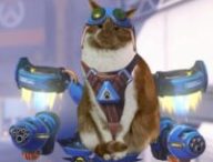 Cosplay de Jetpack Cat // Source : Dense_Beyond_4586 - Reddit Cosplay de Jetpack Cat // Source : Dense_Beyond_4586 - Reddit