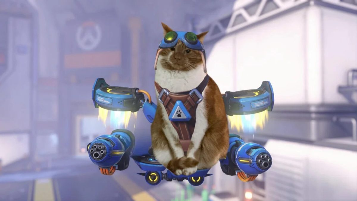Cosplay de Jetpack Cat // Source : Dense_Beyond_4586 - Reddit Cosplay de Jetpack Cat // Source : Dense_Beyond_4586 - Reddit