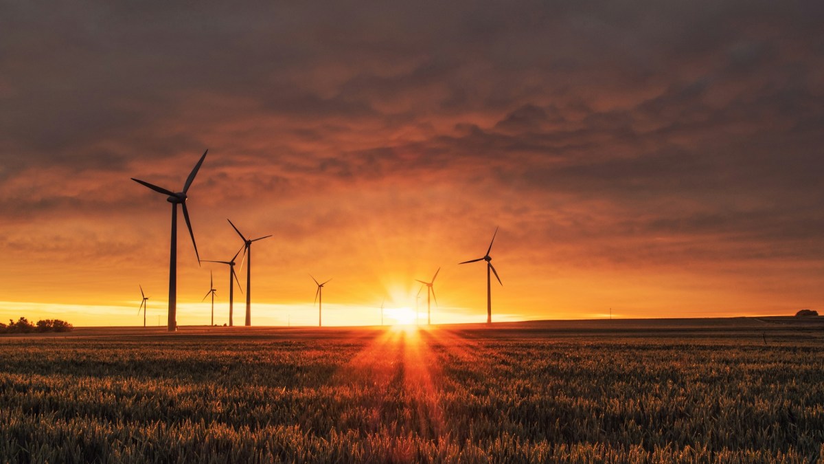 L'électricité verte peut être abordable // Source : Unsplash