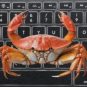 Summer Yue avait stoppé le processus de suppression en débranchant directement le Mac mini qui hébergeait l'agent // Source : Montage Numerama
