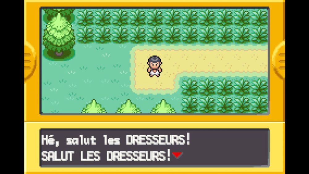 Pokémon Version Rouge Feu / Vert Feuille Pokémon Version Rouge Feu / Vert Feuille