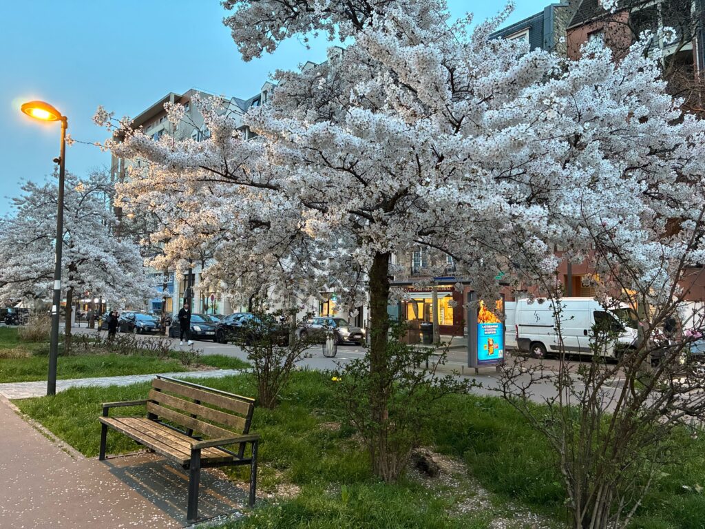Phots prise avec l'iPhone 17e. Phots prise avec l'iPhone 17e.