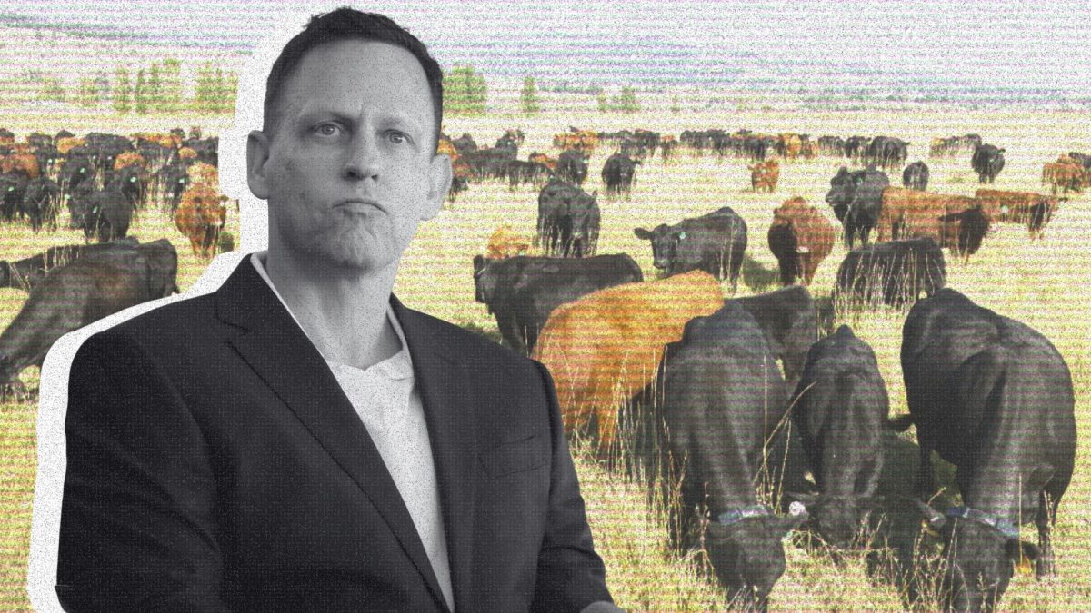 Peter Thiel mise sur les clôtures virtuelles // Source : Numerama / Gage Skidmore / Halter 