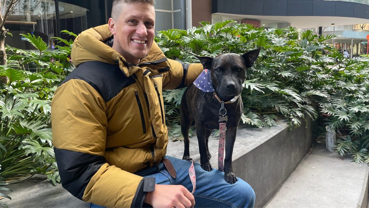 Paul Conyngham s'est aidé de ChatGPT afin de concevoir un vaccin pour son chien. // Source : @Paul_conyngham sur X
