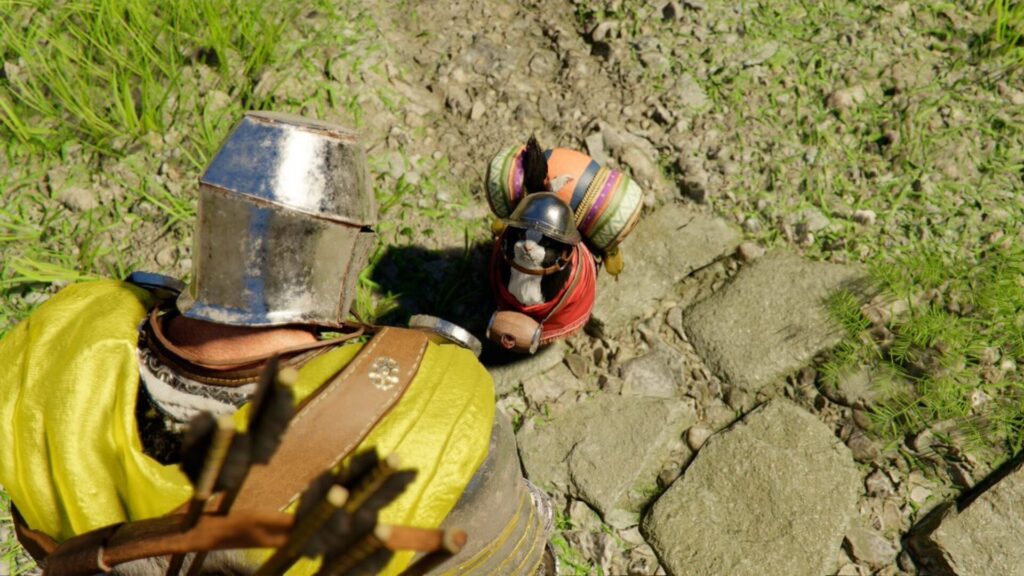 Il est possible de vêtir son félin d'accessoires.  // Source : @AdityaPlayz7 sur X