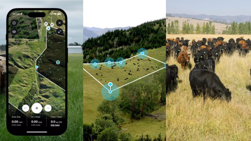 Le troupeau est géré via l'app. // Source : Halter