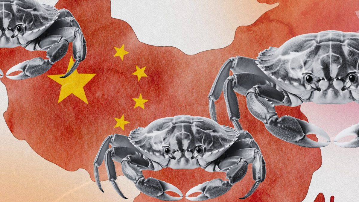 La Chine serre la vis face à la OpenClaw Mania // Source : Montage Numerama La Chine serre la vis face à la OpenClaw Mania // Source : Montage Numerama