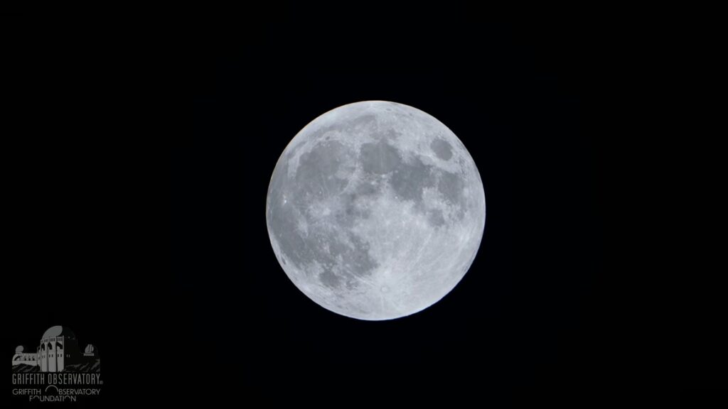 La Lune entre dans la pénombre. // Source : Capture d'écran YouTube Griffith Observatory La Lune entre dans la pénombre. // Source : Capture d'écran YouTube Griffith Observatory
