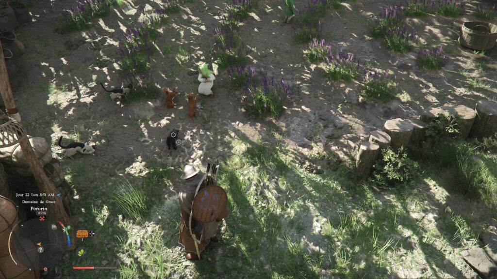 Crimson Desert // Source : Capture PS5 Crimson Desert // Source : Capture PS5