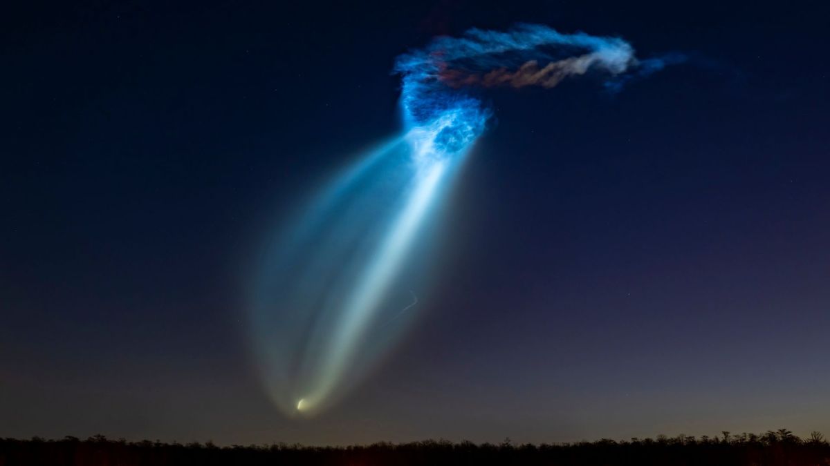 « Méduse spatiale ». // Source : Via @nine8central_