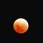 Éclipse lunaire le 3 mars 2026. // Source : Flickr/CC/Alpha (image recadrée) Éclipse lunaire le 3 mars 2026. // Source : Flickr/CC/Alpha (image recadrée)