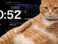 chat scroll // Source : Cat Gatekeeper chat scroll // Source : Cat Gatekeeper