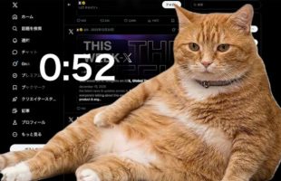 chat scroll // Source : Cat Gatekeeper chat scroll // Source : Cat Gatekeeper