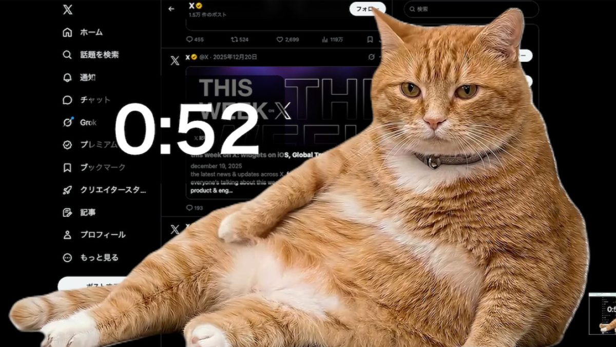 chat scroll // Source : Cat Gatekeeper chat scroll // Source : Cat Gatekeeper