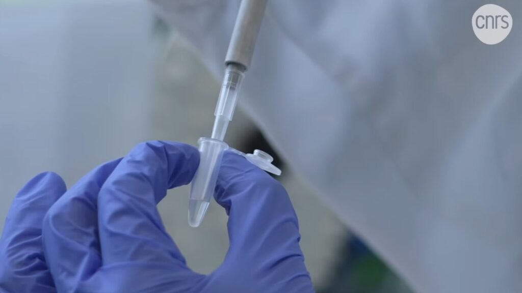Une molécule d'ADN dans un petit tube à essai. // Source : CNRS Une molécule d'ADN dans un petit tube à essai. // Source : CNRS
