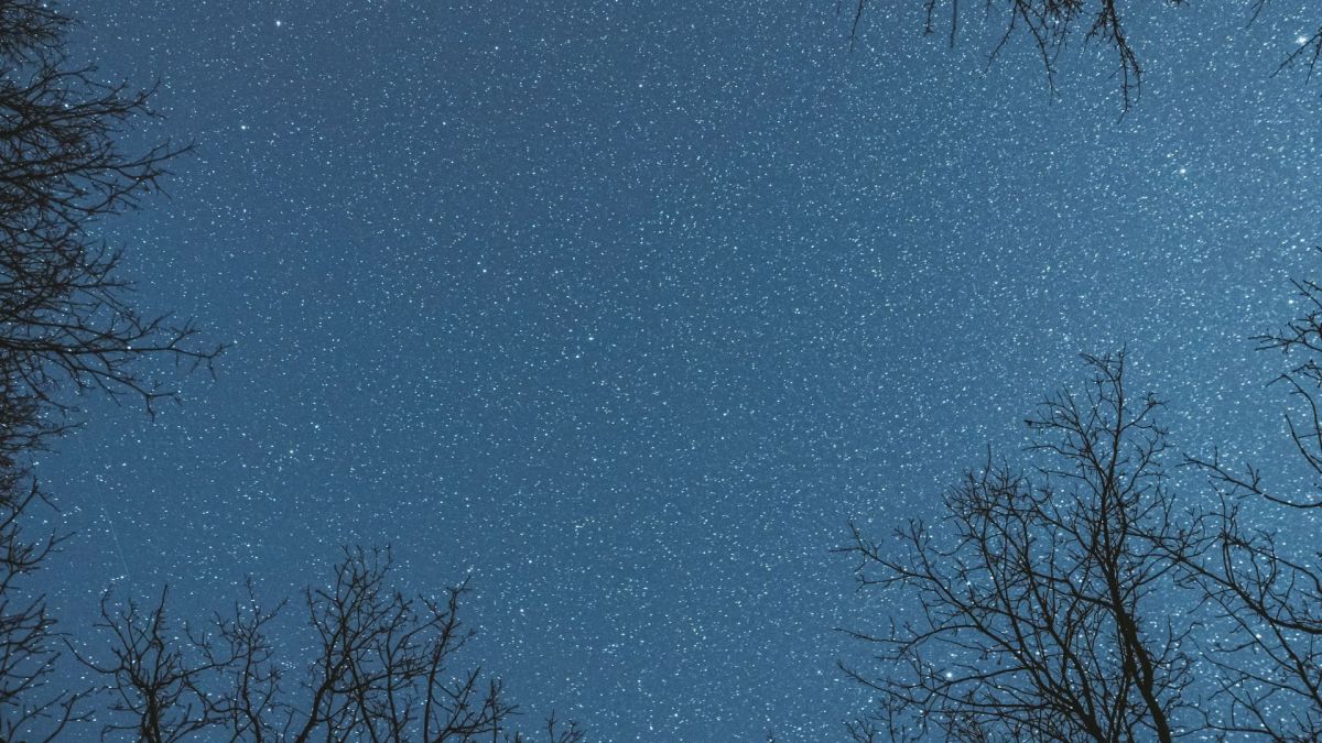 Ciel étoilé. // Source : Envato Ciel étoilé. // Source : Envato