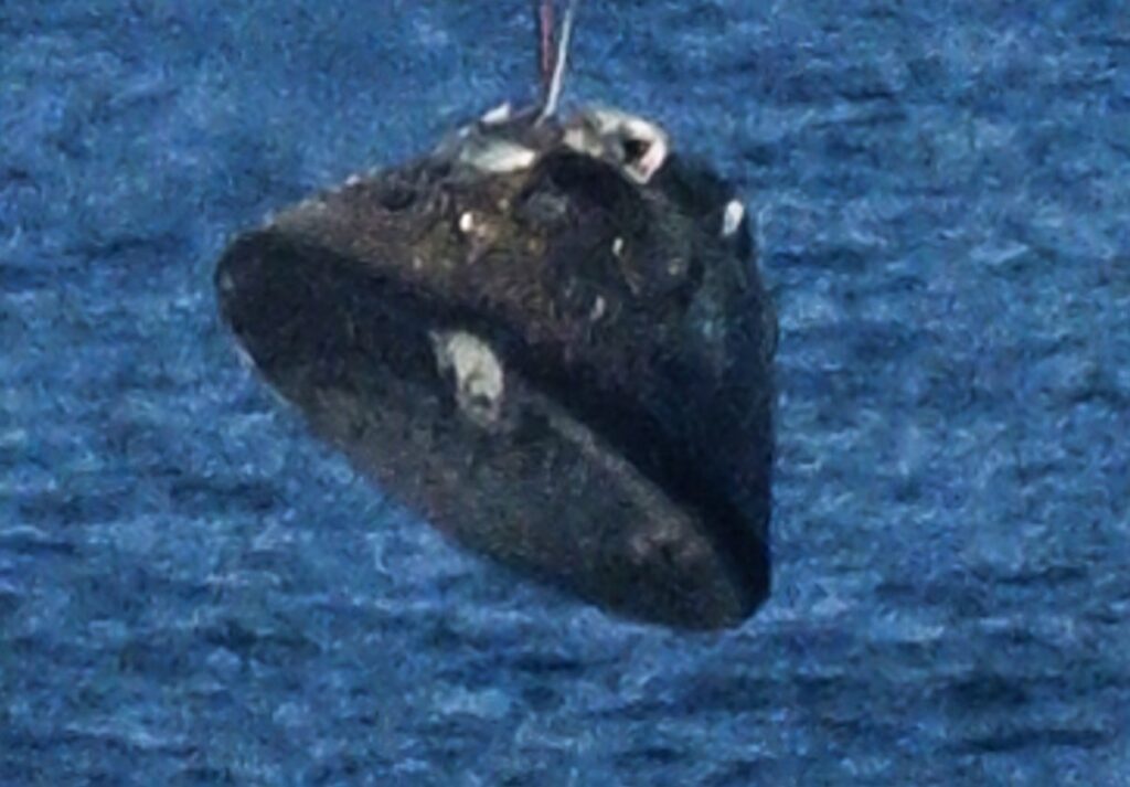 Orion descente