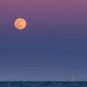 Pleine Lune. // Source : Envato Pleine Lune. // Source : Envato