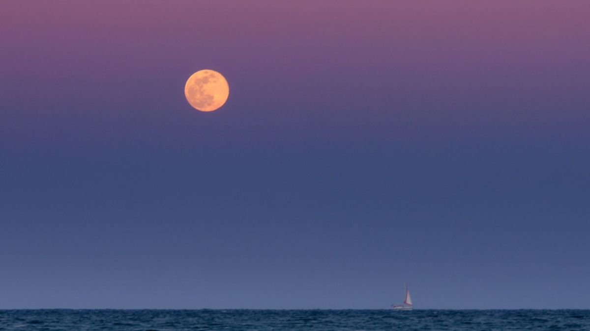 Pleine Lune. // Source : Envato