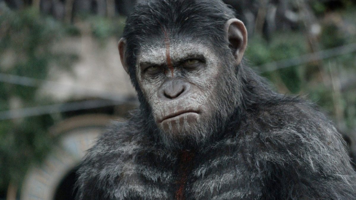 La Planète des Singes // Source : 20th Century Studios La Planète des Singes // Source : 20th Century Studios