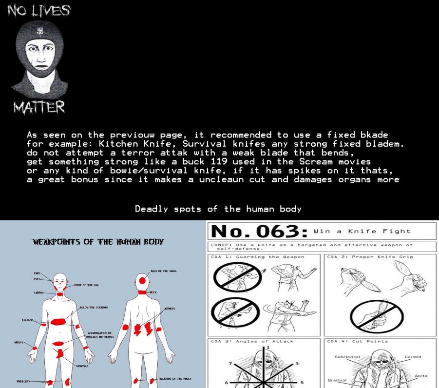 Visuel de l’organisation EVN No Lives Matter, expliquant comment commettre une attaque au couteau. // Source : Document Numerama Visuel de l’organisation EVN No Lives Matter, expliquant comment commettre une attaque au couteau. // Source : Document Numerama