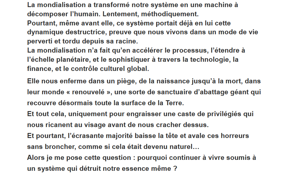 Introduction de « L’action immunitaire », le manifeste rédigé par Justin P. avant son passage à l’acte le 24 avril 2025. // Source : Document Numerama Introduction de « L’action immunitaire », le manifeste rédigé par Justin P. avant son passage à l’acte le 24 avril 2025. // Source : Document Numerama