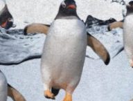 Linux IA // Source : montage Numerama