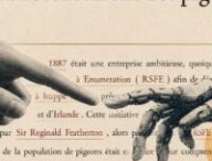 « Halupedia » : ce site est un Wikipédia avec 100 % d'hallucinations IA // Source : Numerama