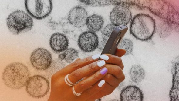 Des applications prétendent aider à détecter l'hantavirus. // Source : Institut Pasteur ; montage Numerama avec Canva Des applications prétendent aider à détecter l'hantavirus. // Source : Institut Pasteur ; montage Numerama avec Canva