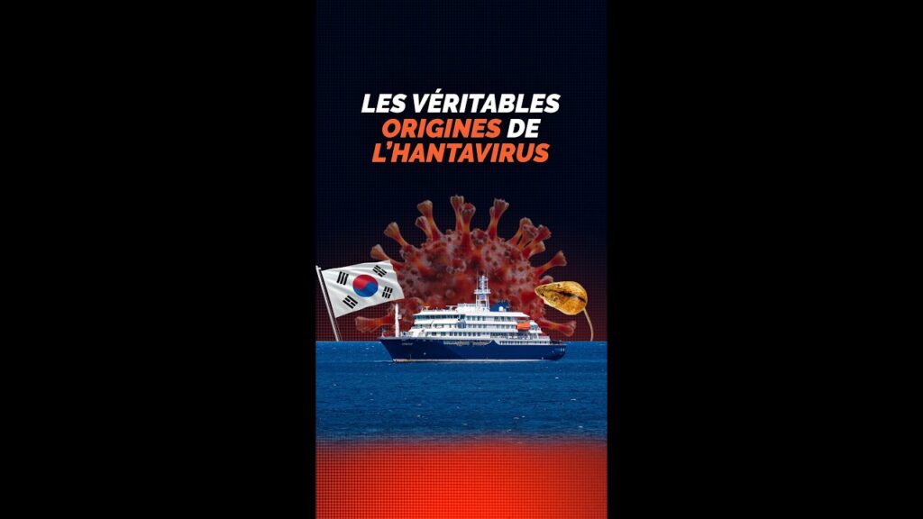 Ce virus ne vient pas d’un bateau de croisière Ce virus ne vient pas d’un bateau de croisière