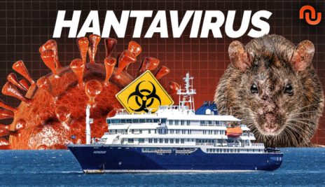 MINIA HANTAVIRUS_V2