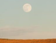 Pleine Lune. // Source : Canva Pleine Lune. // Source : Canva