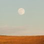 Pleine Lune. // Source : Canva Pleine Lune. // Source : Canva